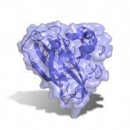 Det nye enzymet som kan ke hastigheten i produksjon av biodrivstoff 3D-modell av