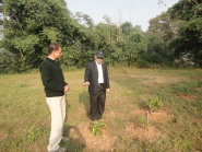 Biocharapplication in coffee plantation