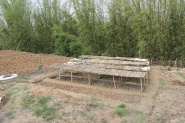 Nursery for forestry